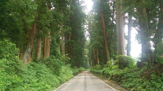 日光杉並木